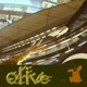 Olive Single