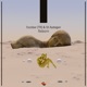 Reborn Extended Mix Single