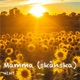 Mamma Skånska Single