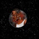 Lost Everything 4PCK EP