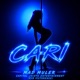CARI Pole Dance Single