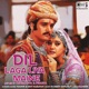 Dil Laga Liya Maine Lofi Mix Single
