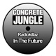 In the Future Single