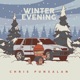 Winter Evening
