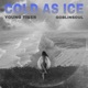 Cold As Ice feat Goblinsoul Youngtyger Single
