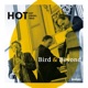 Bird Beyond