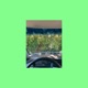 The Geologist Deluxe Edition