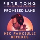 Promised Land Nic Fanciulli Remixes feat Disciples Single