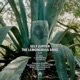 The Lemongrass Song Single