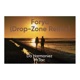 Forya Drop Zone Remix Single