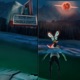 Second Draft Chasing a Star Pt 2