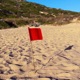 Red Flag Single