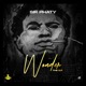 Wonder the EP