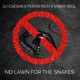 NO LAWN FOR the SNAKES feat DJ CAESAR Single