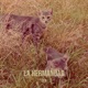 La Hermandad