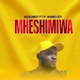 MHESHIMIWA Single