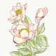 Asphalt Flower Single