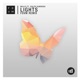 Lights feat Ralph Kaminski FDVM Remix Single
