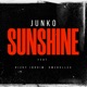 Sunshine feat Rizky Ibrahim Omzhullex Single