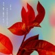 Étoiles Acoustique feat Okko Single