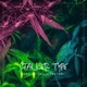 Stalker Type feat Nefertari Single