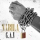 G A V Single