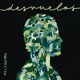 Desvuelos EP