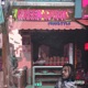 Green Lassi Freestyle Single