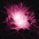 Stargazing Single