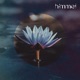 Lotus Single