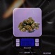 Talkin To My Scale Single