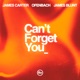 Can t Forget You feat James Blunt Single