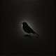 Nightingale