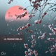 Happy Rain Single