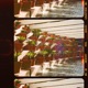 Memory Reel Single