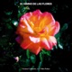 Himno de las flores feat Niña Polaca Single