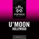 Hollywood Single