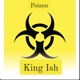 Poison Radio Edit Single
