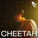 The Warehouse Project Cheetah in Manchester Nov 1 2024 DJ Mix
