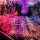 Rise Single