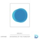 Whispers of the Forest Single