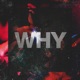 Why Single