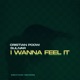 I Wanna Feel It Single