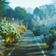 sunflower piano EP