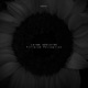 Filtered Perception EP