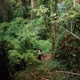 Atmosphere Single
