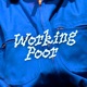 Working Poor Single