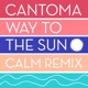 Way to the Sun Calm Remix Single