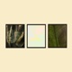 Plant Based Trilogy Single