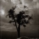 Non Fiction EP